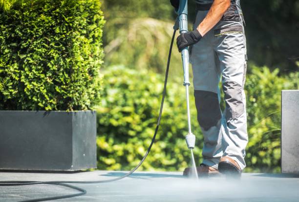 Best Rust Removal  in Mayville, MI