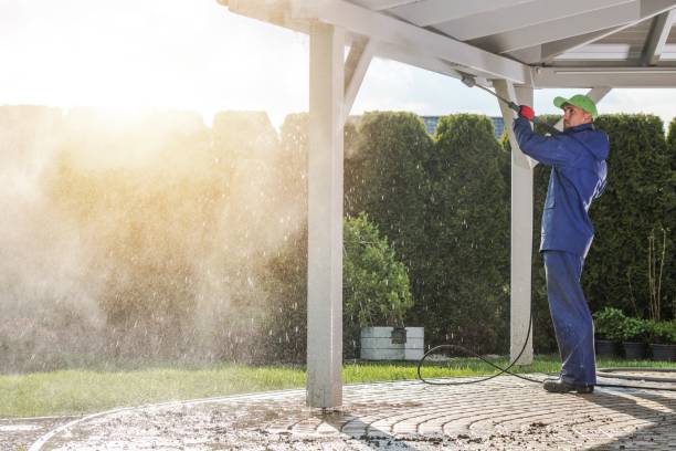 Best House Exterior Washing  in Mayville, MI