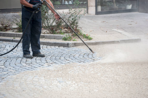 Best Building Exterior Washing  in Mayville, MI