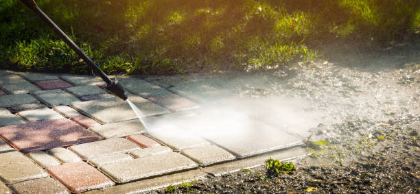 Best Fence Cleaning  in Mayville, MI