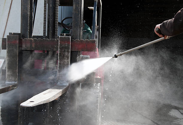 Best Roof Washing  in Mayville, MI