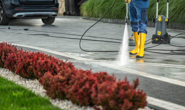 Best Post-Construction Pressure Washing  in Mayville, MI