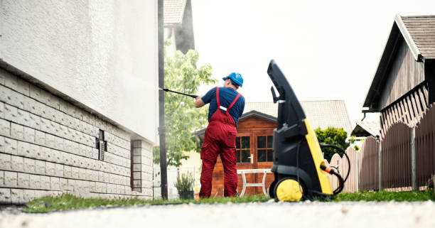 Best Graffiti Removal  in Mayville, MI